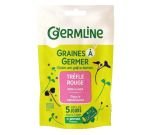 Seeds germinate - Red Clover